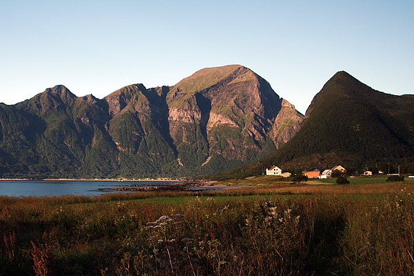 Mevik from the campsite