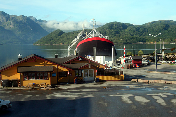 The Viking Pub