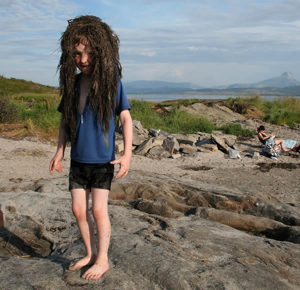 A seaweed troll