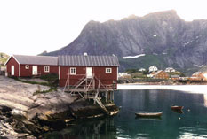 tommerbua